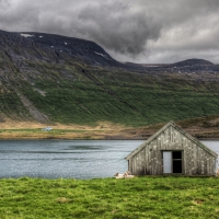 sheep grazing by a hut at a lake hdr