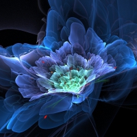 Fractal flower