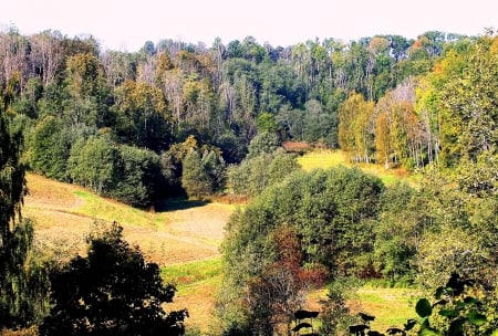 Buse castle mound.  Latvia. - nature, fields, landscape, history