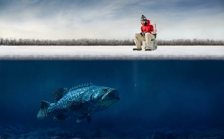 Fantasy situation :D - winter, fisherman, blue, fishing, ice, white, funny, red, fish