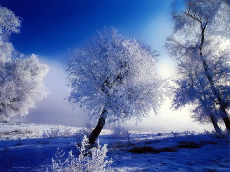 Winter Landscape - ice, sky, cold, trees, snow, clouds