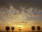 sunrise through the center tree