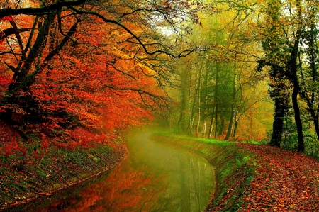 Autumn - trees, autumnleaves, forest, leaves, fall, river, nature, autumn, autumn splendor, woods