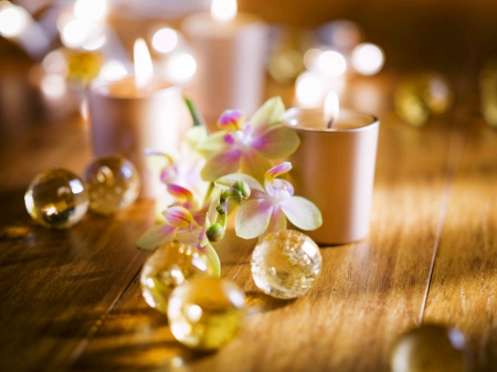 Lights - candles lighted, photography, flower, lighted, transparent, lights, shadows, sphere, orchids, candles