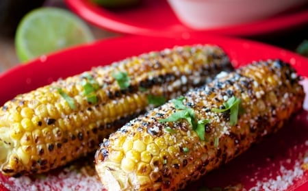 Corn - food, wheat, eat, Corn