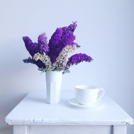 Still life - nature, lilacs, purple, abstract, flowers