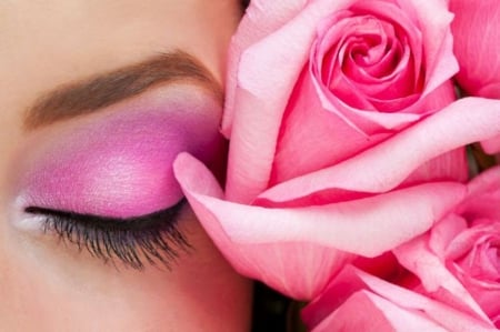 Roses - roses, eye, flower, pink