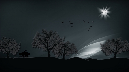 Nature v1.0 - black, birds, nature, lover, night, light, shadow, tree