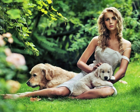 Beauty with dogs