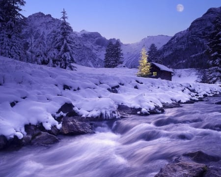 Christmas Time - Snow, Pine, Christmas, Nature