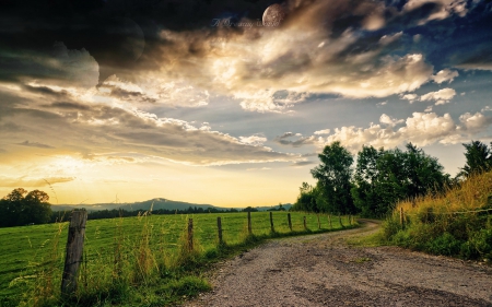 Path - sky, path, tree, nature