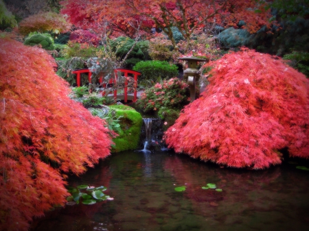 Japanese Garden - trees, Autumn, water, pond, Fall, Japanese Garden, bushes, leaves, Japanese, waterfall, lily pads, garden, bridge