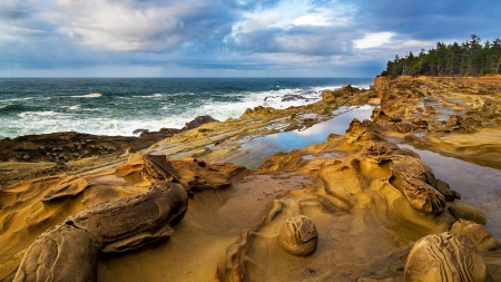 ocean - nature, fun, beach, ocean