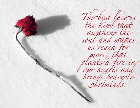 The Best Love - love, message, snow, winter, rose