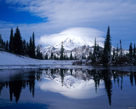 Beautiful view - lake, trees, mountain, winter, rainier, nature, reflection, clouds, tipsoo