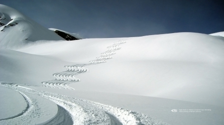 Fresh Tracks on Waimea by Michael Likierman - Helicopter, British Columbia, Mountains, Helisnowboarding, Heliskiing, Powder, Skiing, Heli-skiing, Crescent Spur, Glacier, Snow, Heli-snowboarding