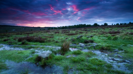 beautiful sky over grassy wetland - clouds, purple, wetland, grass, sky