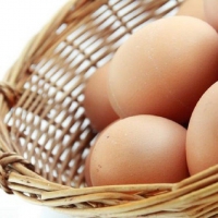 Eggs in a basket