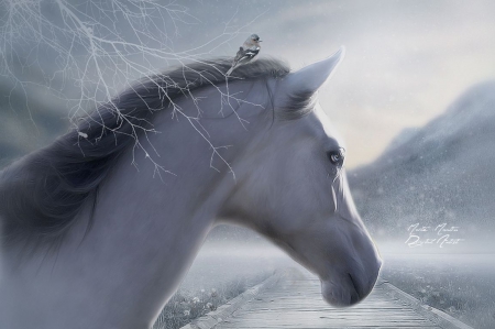 A place in the mountains - animals, winter, wallpaper, fantasy, abstract, art, horse, wild, stallion, wild animals