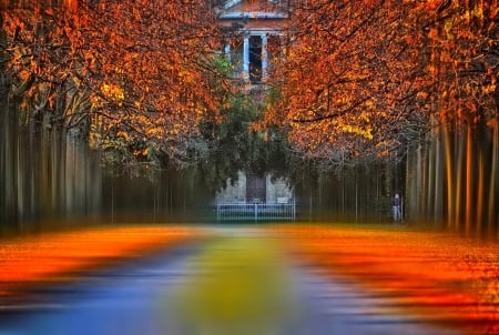 November - trees, branches, mirrored, colors, reflection, leaves, fall, colorful, nature, november, autumn, foliage