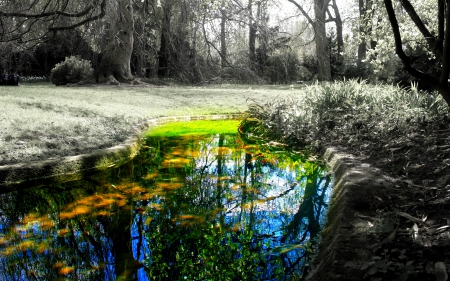 SPRING POND in WINTER