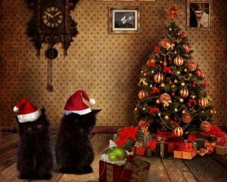 Merry Christmas - christmas tree, gift, cats, room, christmas