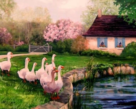 Beautiful Scenery Art - beautiful, place, grass, pond, white ducks