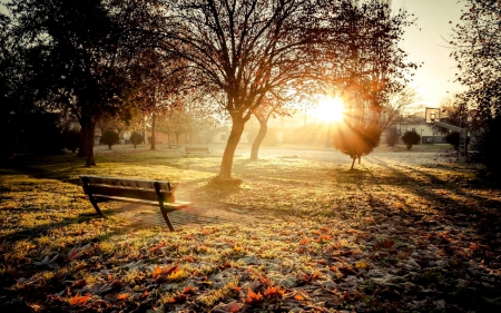 LIGHTED PARK - nature, park, bench, sunlight