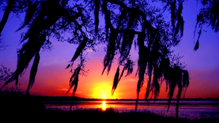 SUNSET VIEW - florida, rivers, sunset, light