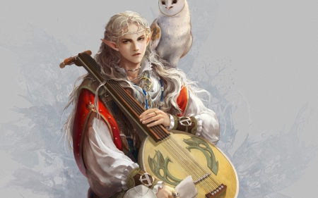 Elf - bird, game, yellow, singer, guy, man, owl, elf, fantasy, lute, white, red