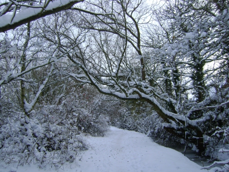 countryside snowy scene two - snow, white, trees, winter