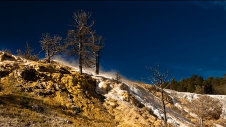 frozen stream coming down a hill - hill, trees, winter, stream, frozen, steam