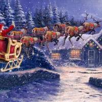 Santa's sleigh house