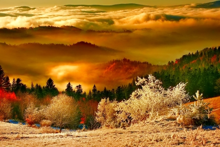 Winter - Tatry - Poland