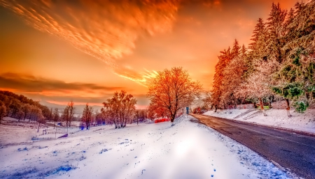 Winter - beauty, sky, trees, peaceful, sun, sunset, bench, view, winter time, clouds, tree, winter sun, snowy, fence, landscape, winter, lovely, nature, snow, beautiful, splendor, winter splendor, colors, sunrise