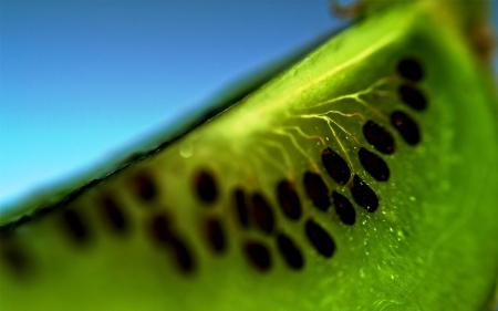 Slice of Kiwi - kiwi, fruit, food, slice, nature