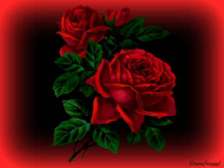 RED ROSE - creation, abstract, rose, red