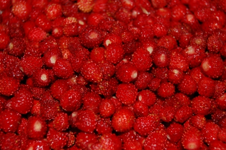 A lot of Strawberries - red, taste, fruits, food, nature, strawberries