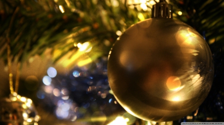 Golden Bulb - golden bulb, gold christmas bulb, christmas bulb, bulb