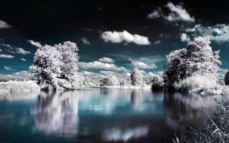 Winterland - clouds, trees, winter, water, landscape, snow, lake, sky