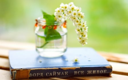 *** Spring in jar *** - flowers, trees, nature, spring, flower, flowering