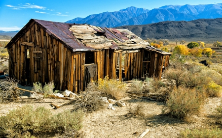 Old Shack in the Desert - Mountains, Desert, Nature, USA