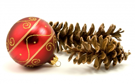 Festive Season!â™¥ - red, winter, ball, ornaments, pinecones, christmas