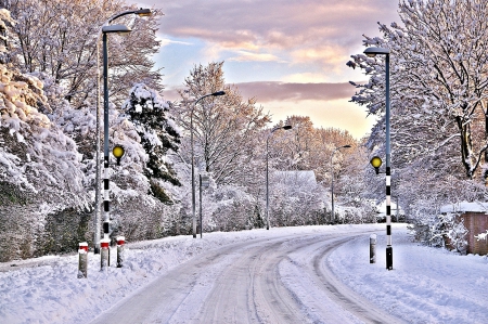 Winter - winter, trees, road, snow