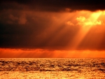 sunbeam over orange sea