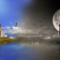 The great Howling