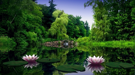 beautiful bridge on a lilly covered creek - trees, green, creek, lillies, bridge