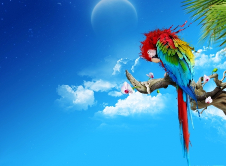 Beautiful Parrot - sky, animals, parrot, birds, blue, art