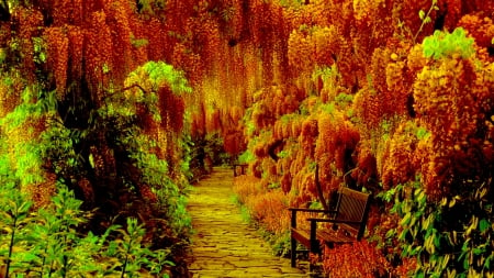 WISTERIA GARDEN - wisteria, seating furniture, park, bench, garden, path