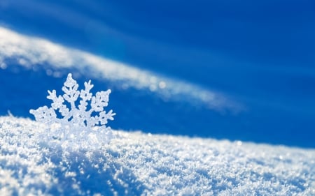 Snowflake - winter, snowflake, blue, snow